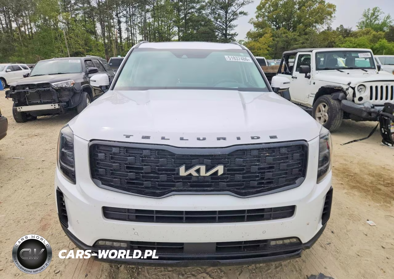 2022 Kia Telluride Sx VIN:5XYP5DHC6NG309754 - 5