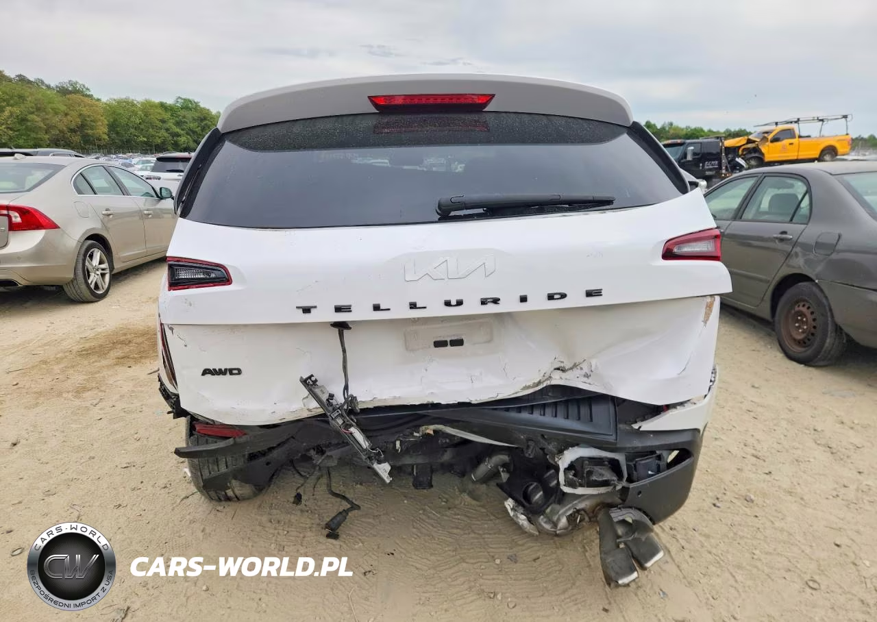 2022 Kia Telluride Sx VIN:5XYP5DHC6NG309754 - 6