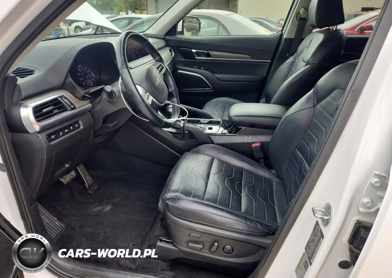 2022 Kia Telluride Sx VIN:5XYP5DHC6NG309754 - 7