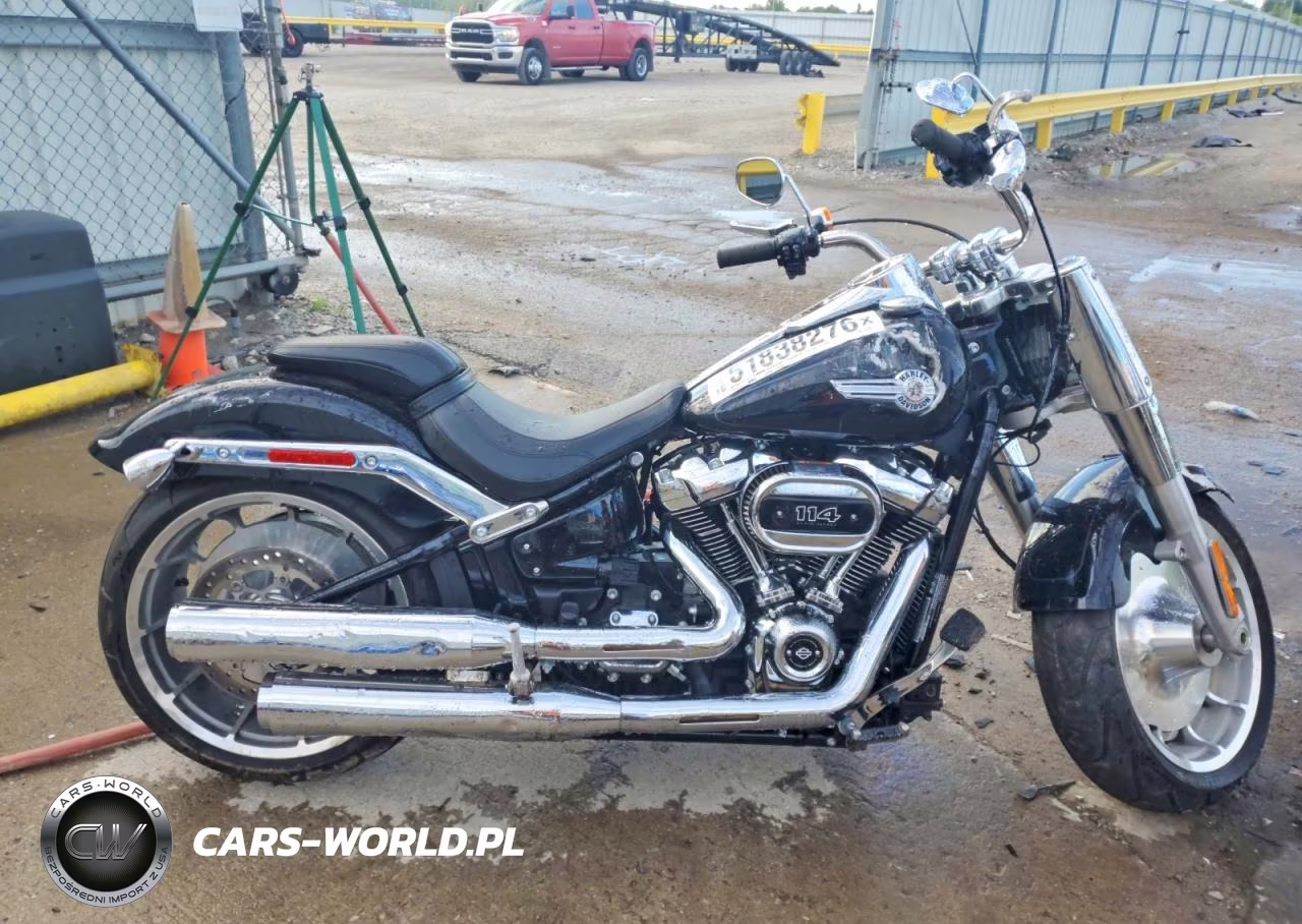 2024 Harley-Davidson Flfbs
