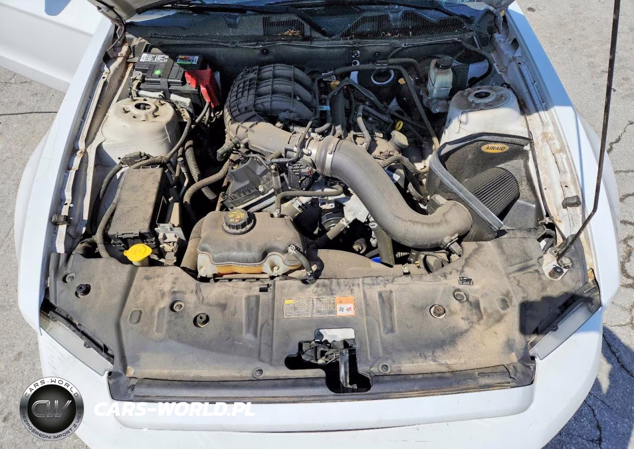 2014 Ford Mustang VIN:1ZVBP8AM3E5301776 - 11