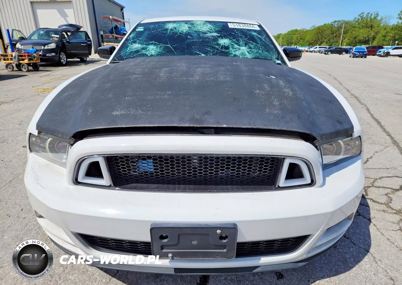 2014 Ford Mustang VIN:1ZVBP8AM3E5301776 - 5