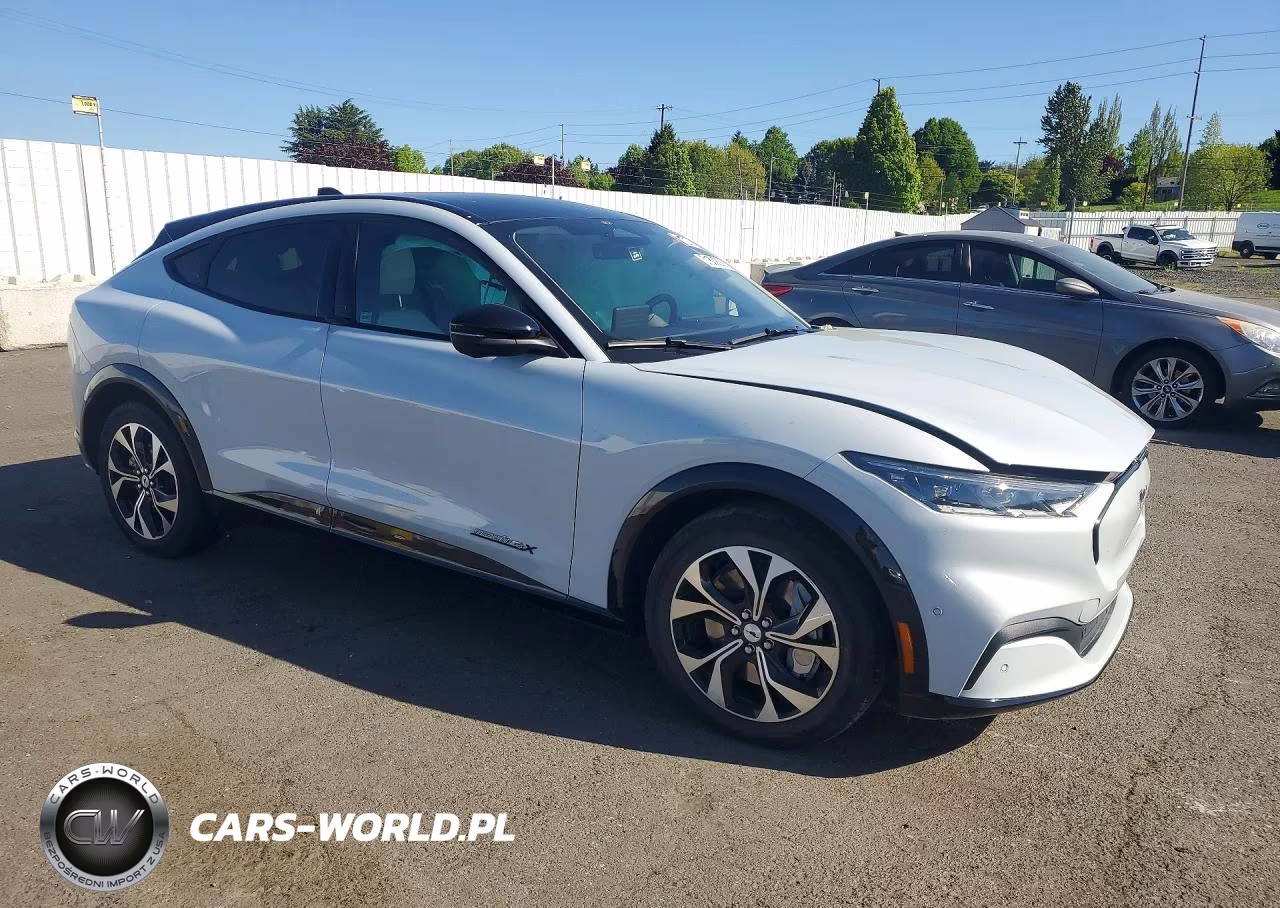 2023 Ford Mustang Mach-E Premium VIN:3FMTK3SU7PMA67223 - 4