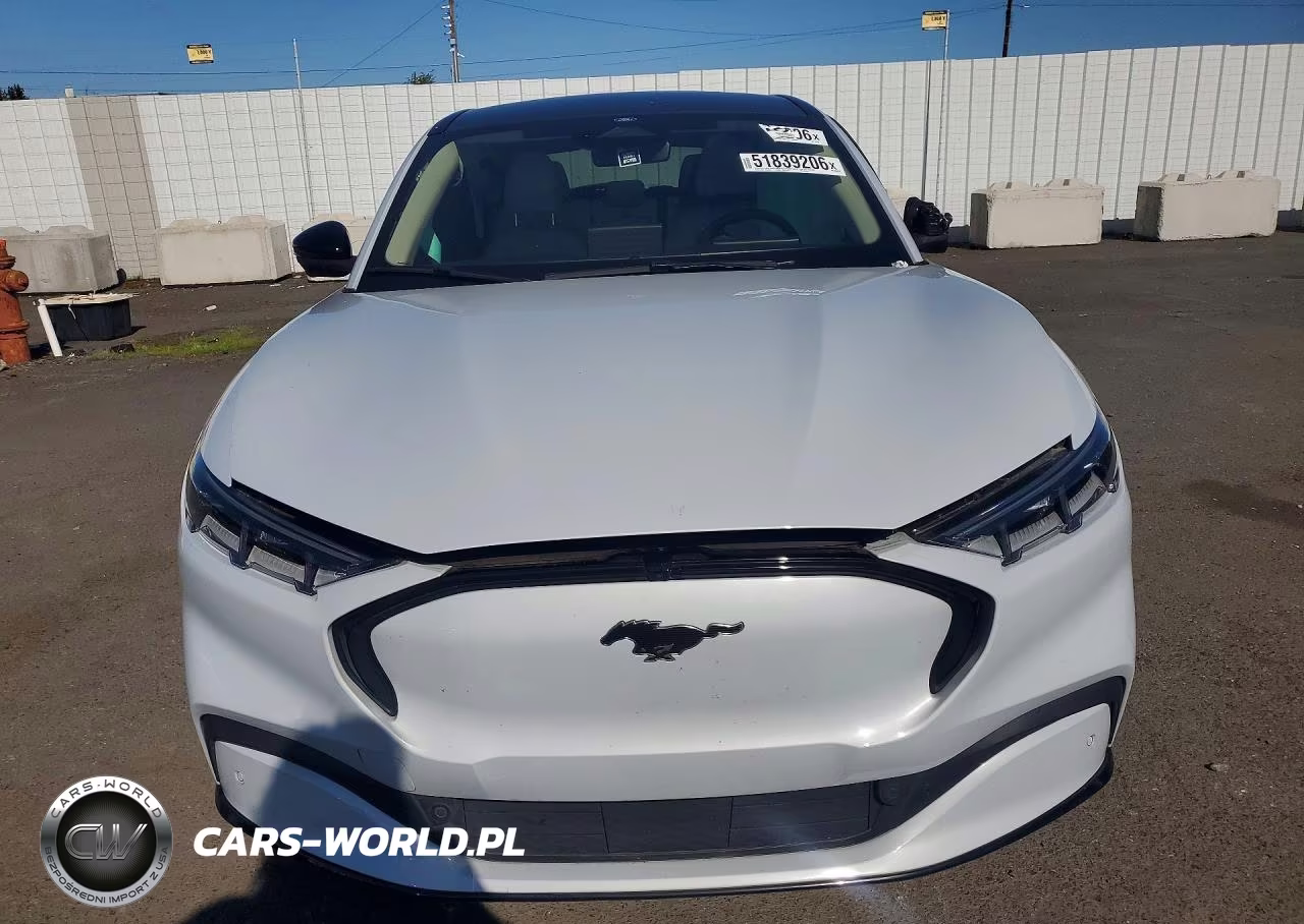 2023 Ford Mustang Mach-E Premium VIN:3FMTK3SU7PMA67223 - 5