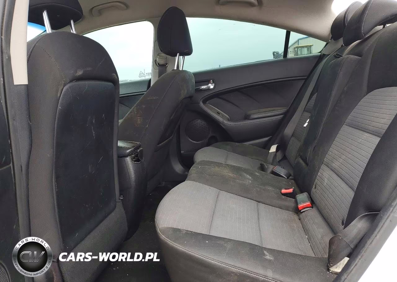 2014 Kia Forte Lx VIN:KNAFX4A68E5059871 - 10