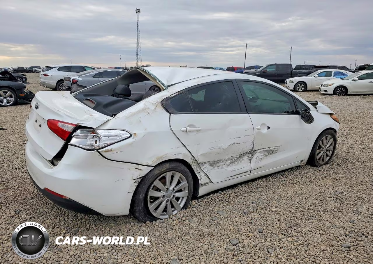 2014 Kia Forte Lx VIN:KNAFX4A68E5059871 - 3