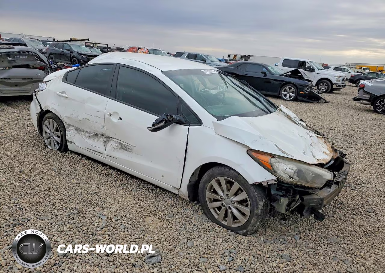 2014 Kia Forte Lx VIN:KNAFX4A68E5059871 - 4