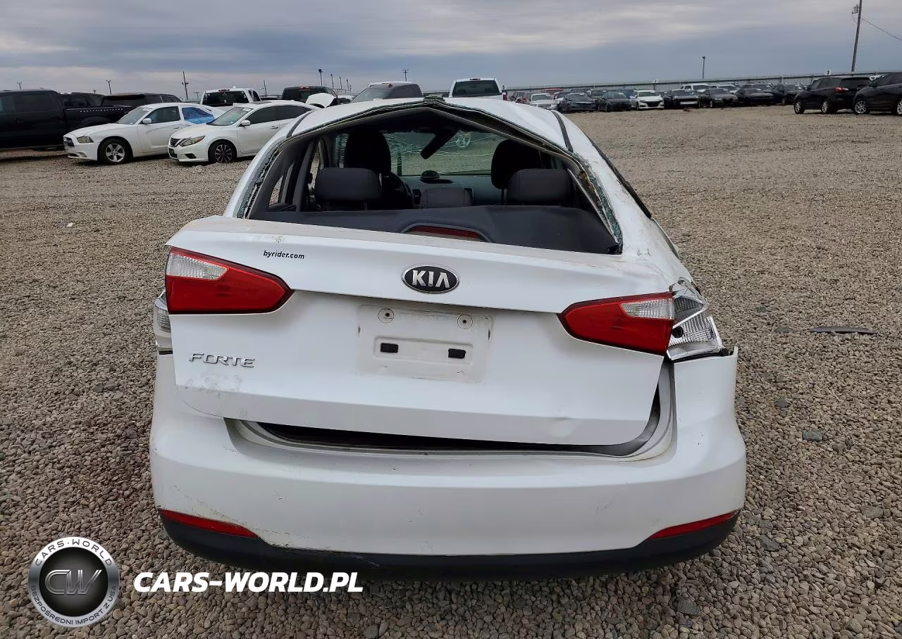 2014 Kia Forte Lx VIN:KNAFX4A68E5059871 - 6
