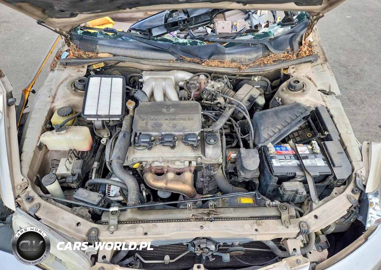 1999 Toyota Camry Le V6 VIN:JT2BF22K8X0180123 - 11
