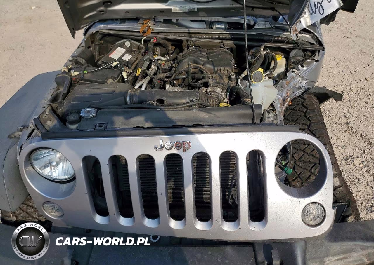 2017 Jeep Wrangler Unlimited Sport VIN:1C4BJWDG8HL529075 - 11