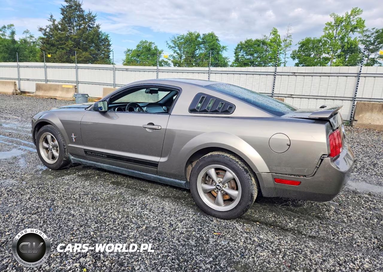 2005 Ford Mustang VIN:1ZVFT80NX55196158 - 2