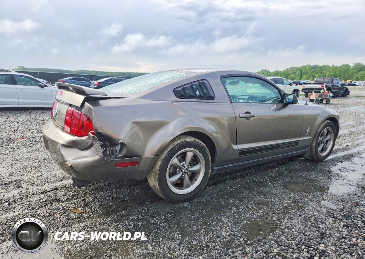 2005 Ford Mustang VIN:1ZVFT80NX55196158 - 3