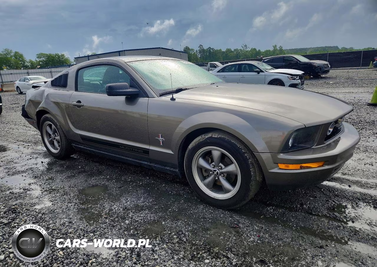 2005 Ford Mustang VIN:1ZVFT80NX55196158 - 4