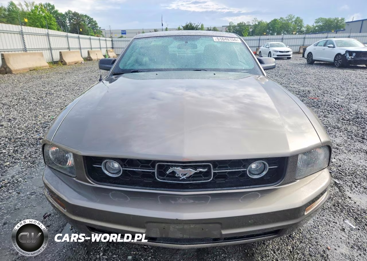 2005 Ford Mustang VIN:1ZVFT80NX55196158 - 5