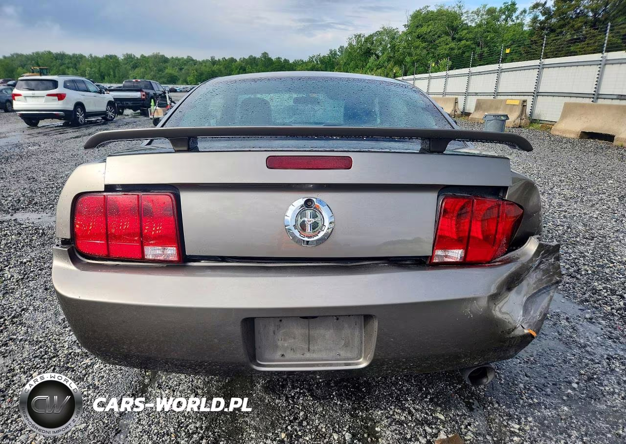 2005 Ford Mustang VIN:1ZVFT80NX55196158 - 6