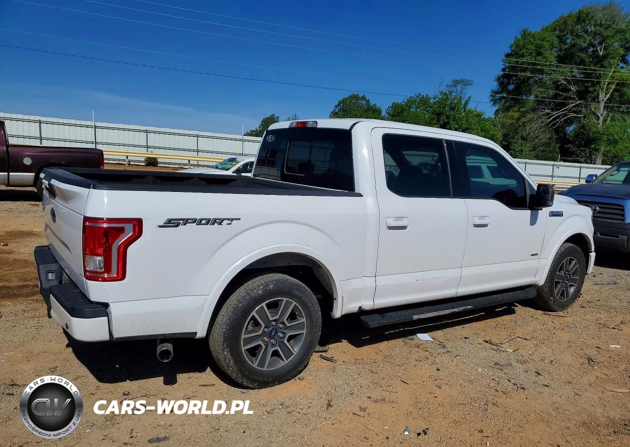 2016 Ford F150 Supercrew VIN:1FTEW1CP4GFB08311 - 3