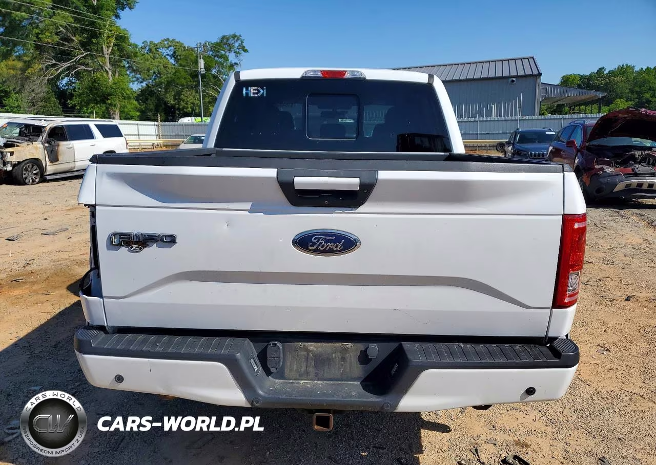2016 Ford F150 Supercrew VIN:1FTEW1CP4GFB08311 - 6