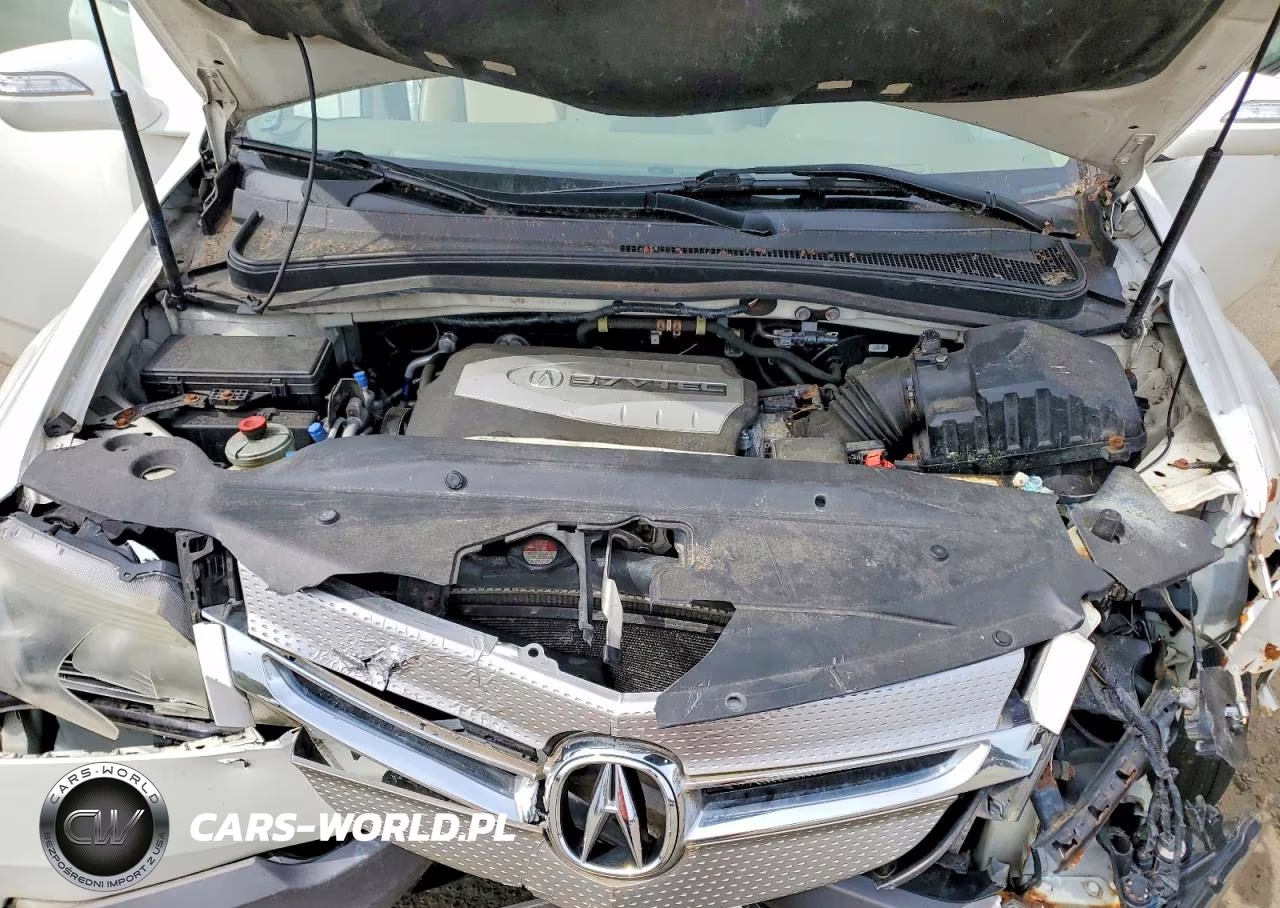 2009 Acura Mdx Technology VIN:2HNYD28629H505486 - 12