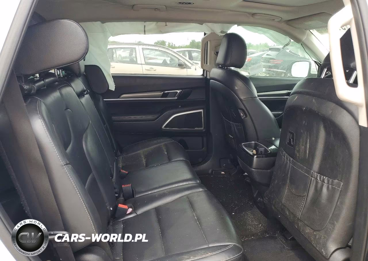 2020 Kia Telluride S VIN:5XYP6DHC1LG044557 - 10