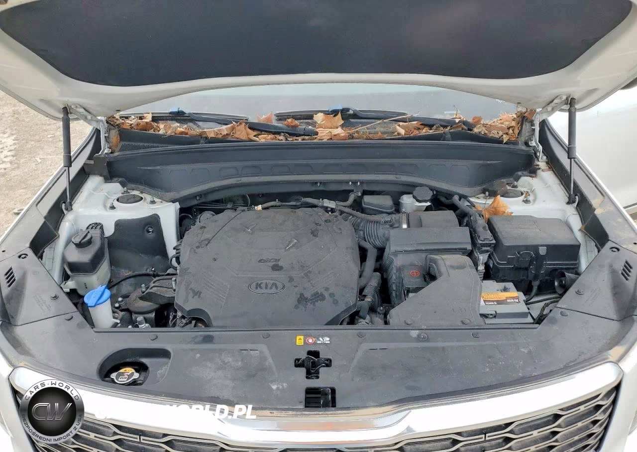 2020 Kia Telluride S VIN:5XYP6DHC1LG044557 - 11
