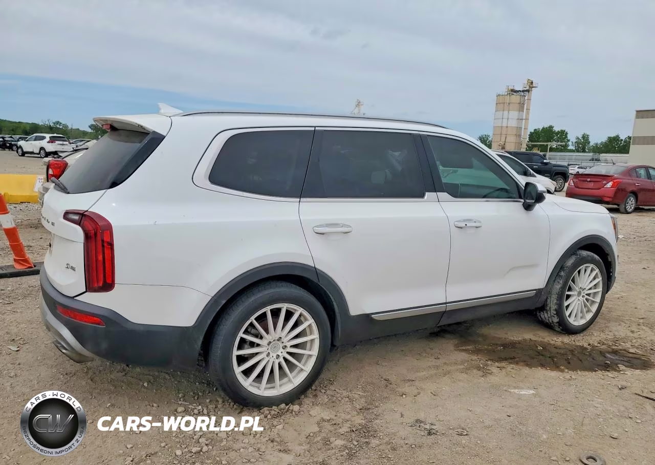 2020 Kia Telluride S VIN:5XYP6DHC1LG044557 - 3