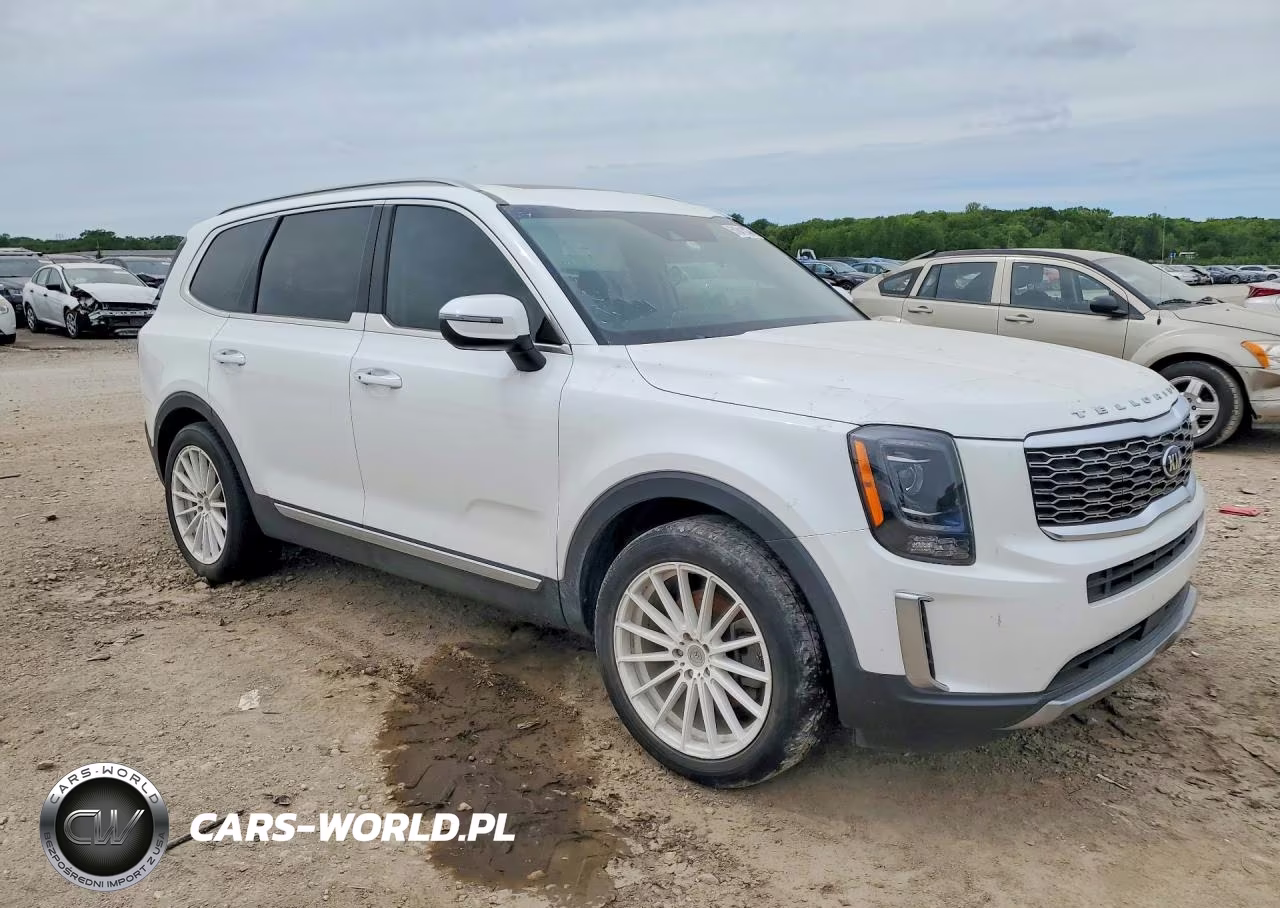 2020 Kia Telluride S VIN:5XYP6DHC1LG044557 - 4