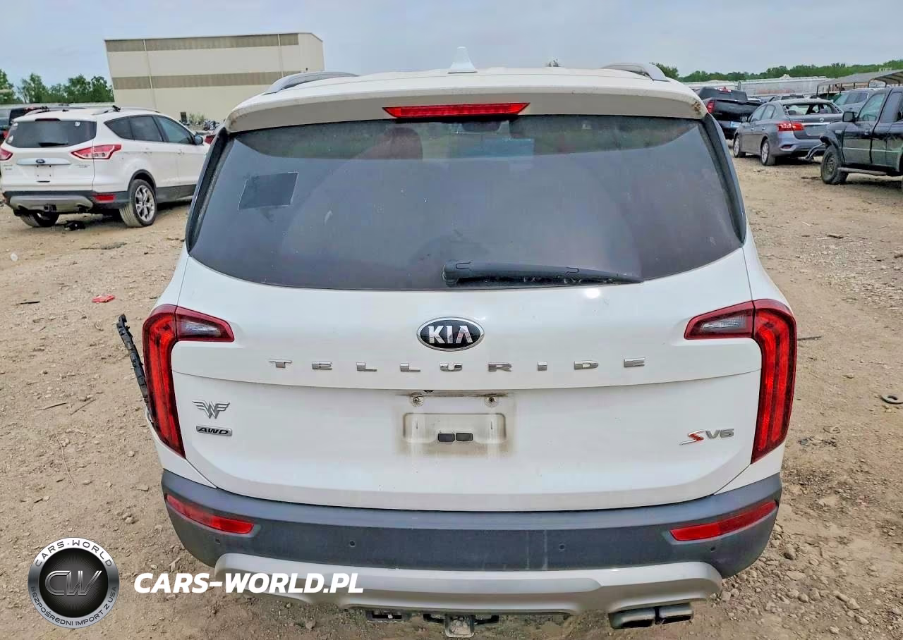 2020 Kia Telluride S VIN:5XYP6DHC1LG044557 - 6