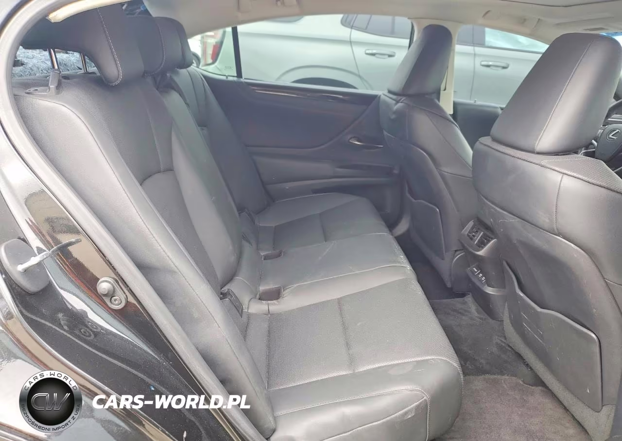 2020 Lexus Es 350 VIN:58ADZ1B13LU062982 - 10