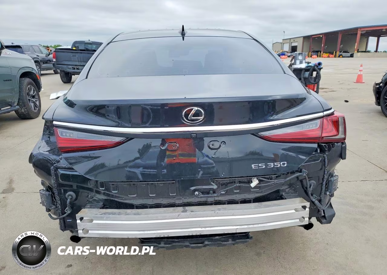 2020 Lexus Es 350 VIN:58ADZ1B13LU062982 - 6