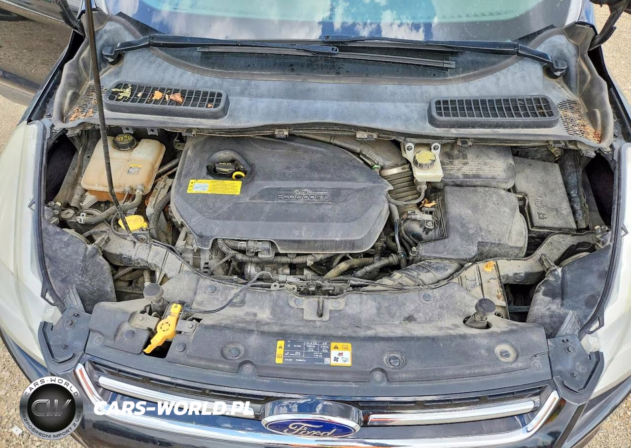 2013 Ford Escape Sel VIN:1FMCU9HX8DUB61519 - 12