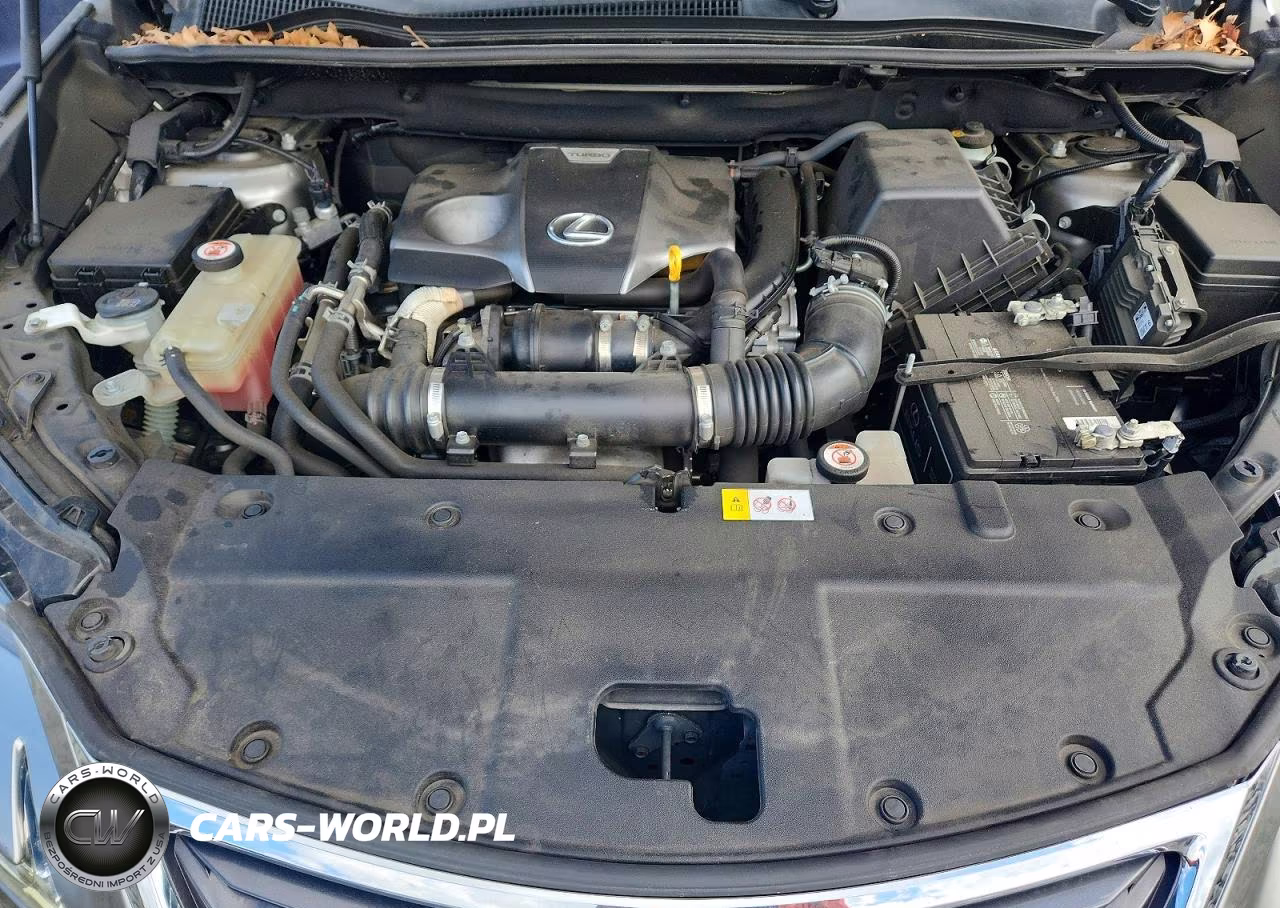 2017 Lexus Nx VIN:JTJBARBZ9H2118826 - 11