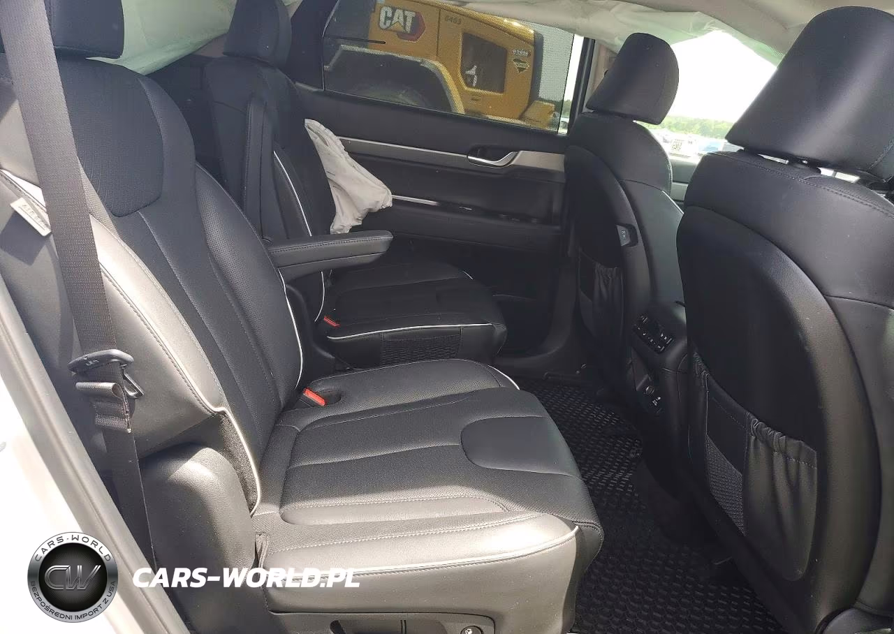 2025 Hyundai Palisade Sel Premium VIN:KM8R44GE2SU806935 - 10