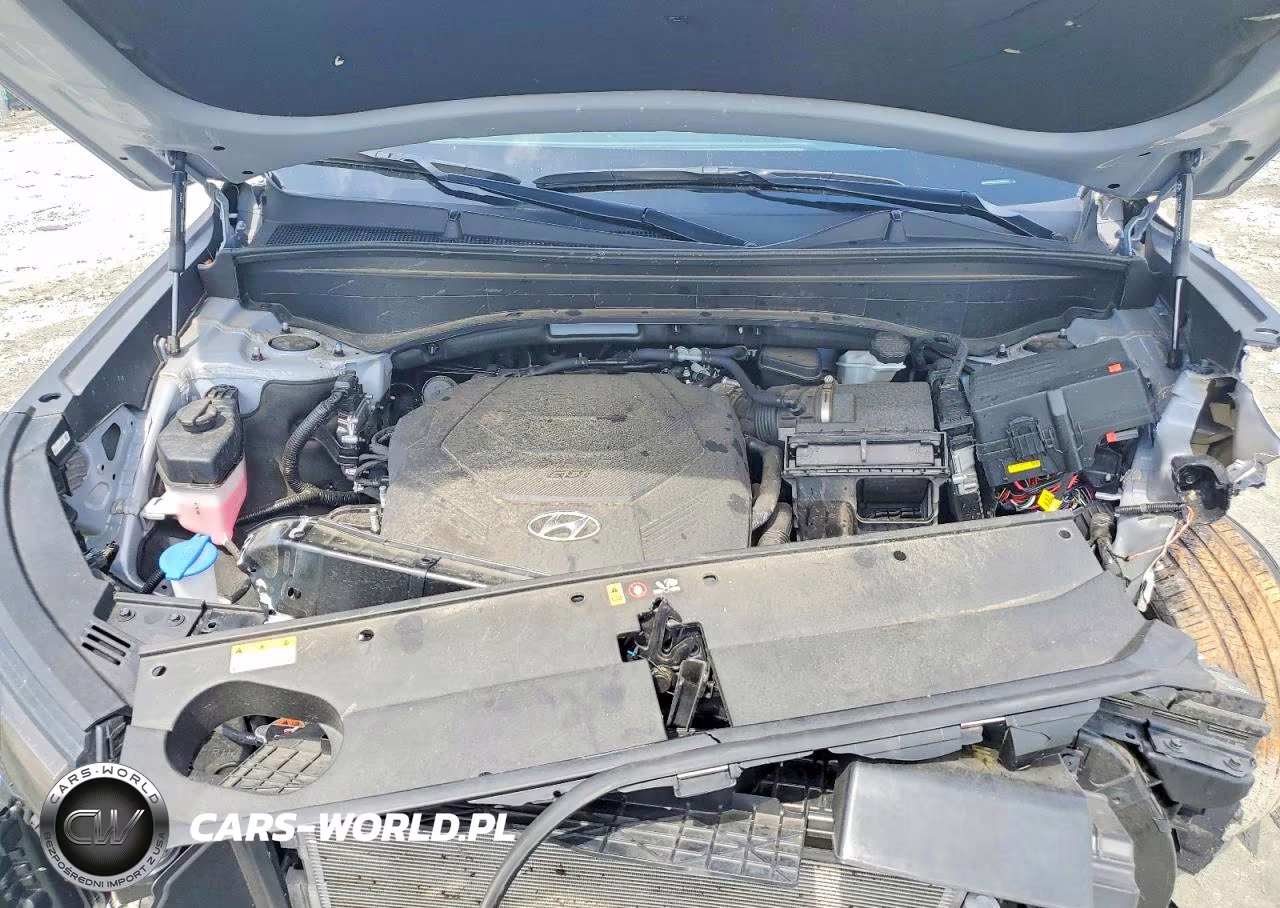 2025 Hyundai Palisade Sel Premium VIN:KM8R44GE2SU806935 - 11