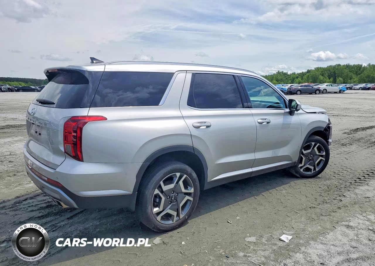 2025 Hyundai Palisade Sel Premium VIN:KM8R44GE2SU806935 - 3