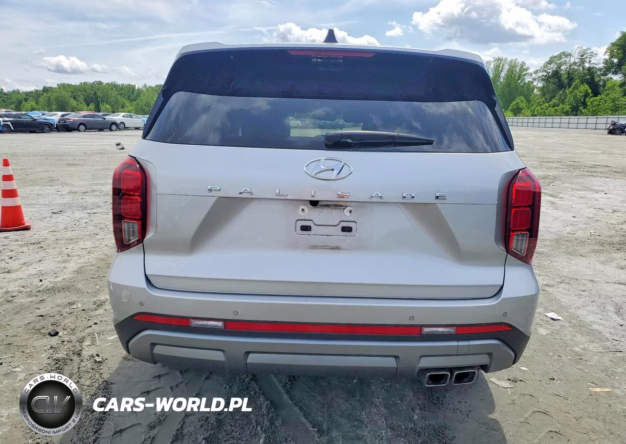 2025 Hyundai Palisade Sel Premium VIN:KM8R44GE2SU806935 - 6