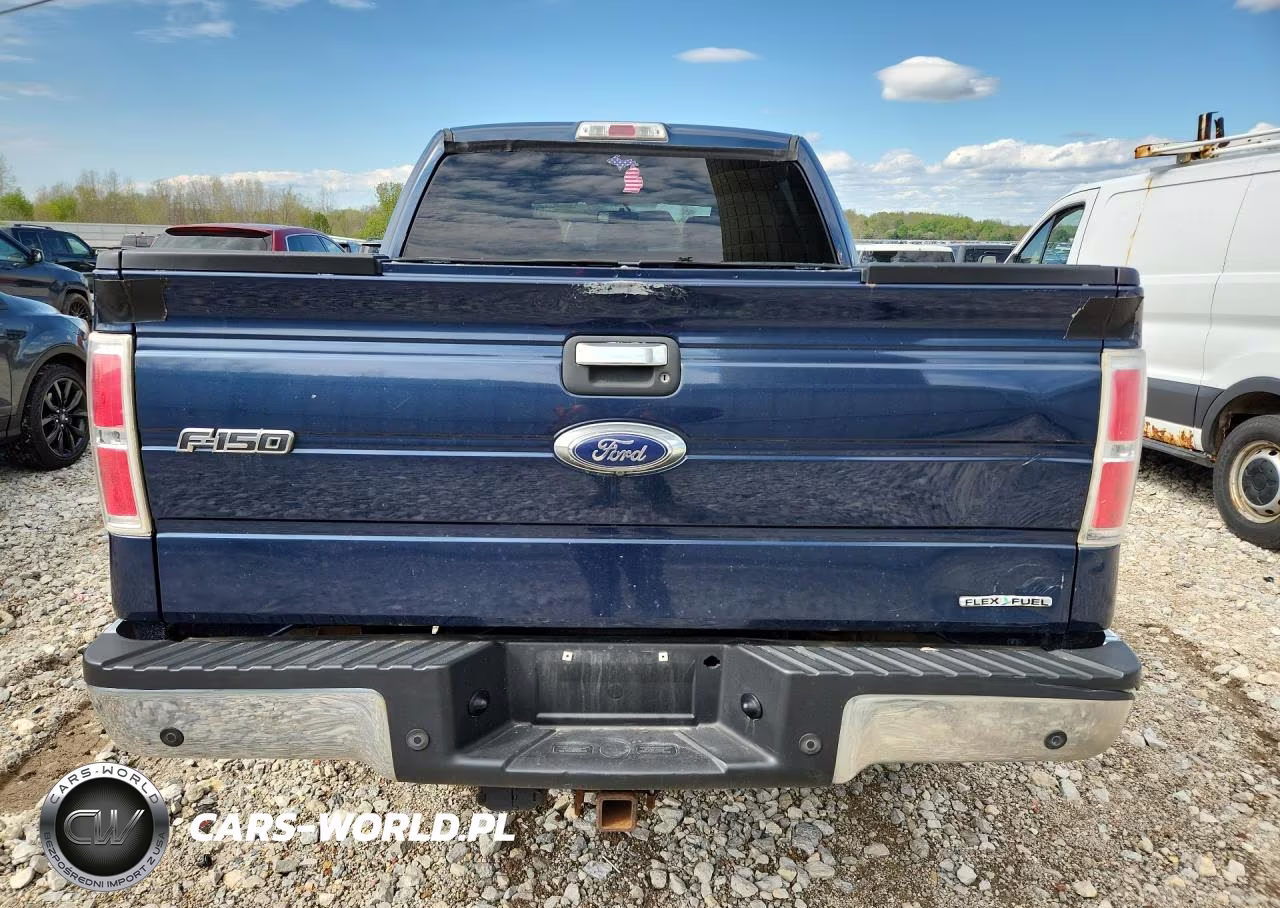2014 Ford F150 Supercrew VIN:1FTFW1EF0EFA64121 - 6