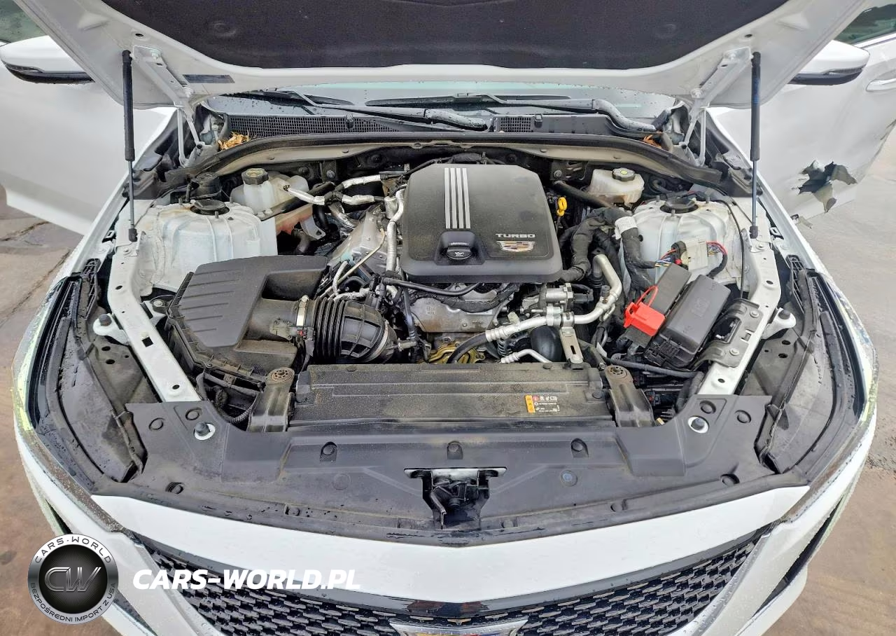 2024 Cadillac Ct5 Premium Luxury VIN:1G6DN5RK9R0118679 - 11