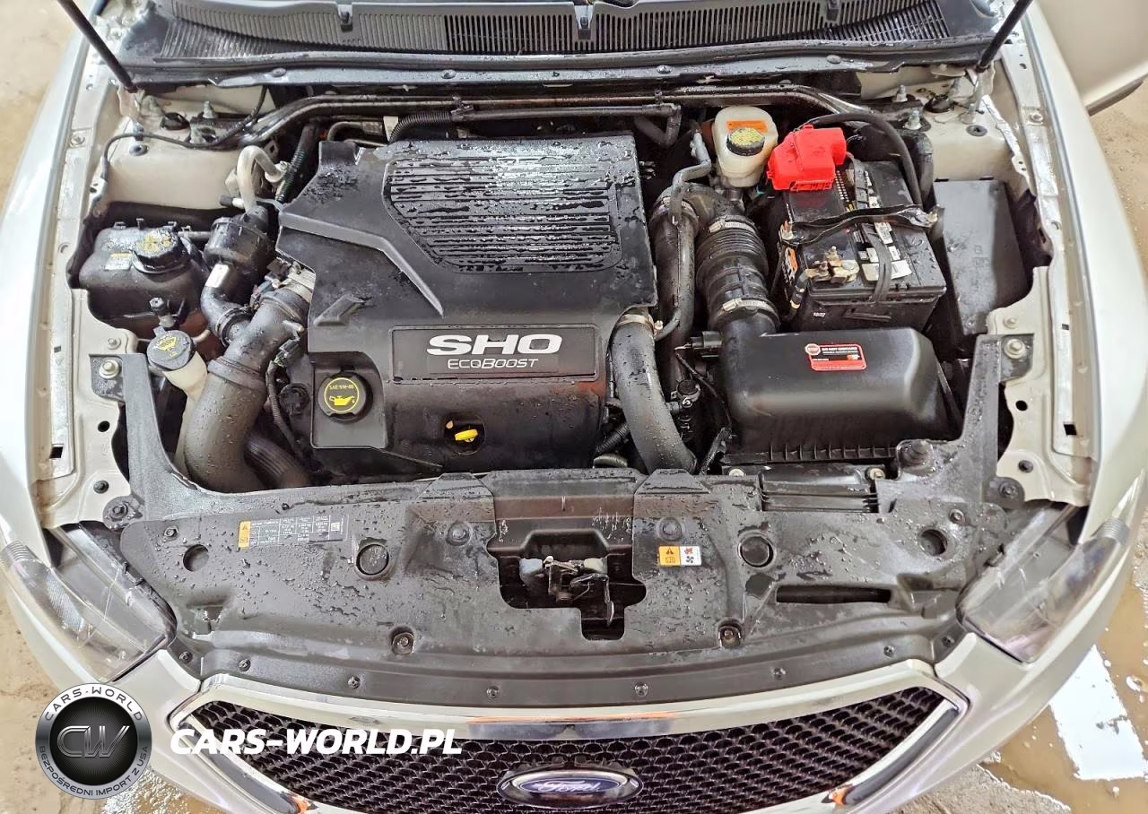 2018 Ford Taurus Sho VIN:1FAHP2KTXJG119741 - 11