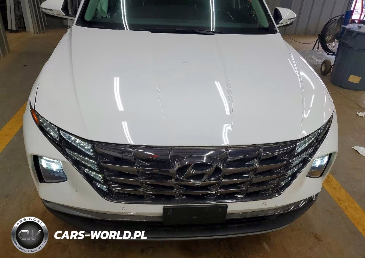 2024 Hyundai Tucson Limited VIN:5NMJE3DE5RH352856 - 12