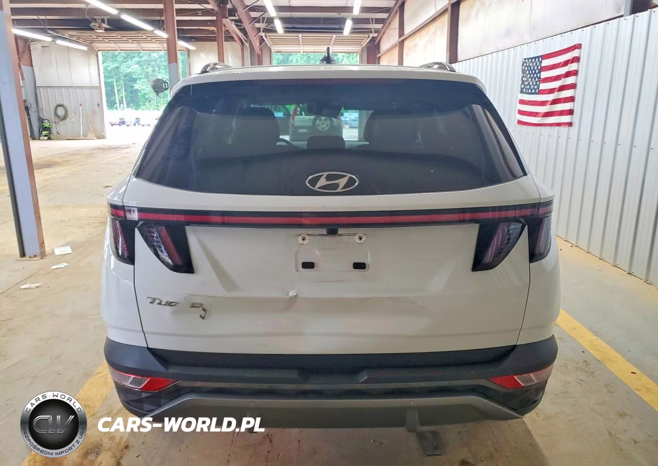 2024 Hyundai Tucson Limited VIN:5NMJE3DE5RH352856 - 6