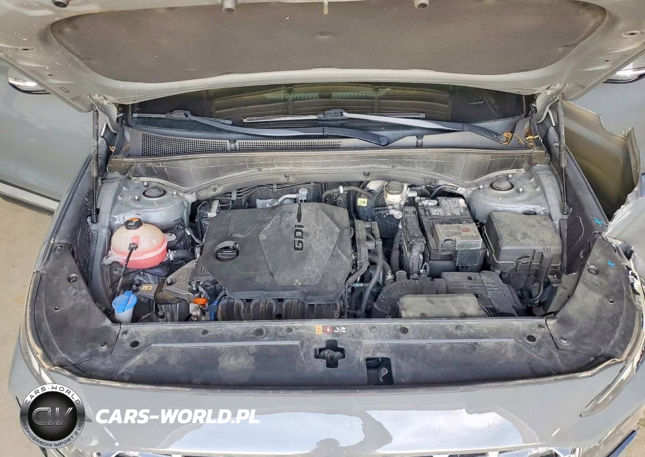 2021 Hyundai Santa Fe Sel VIN:5NMS6DAJ8MH341738 - 12