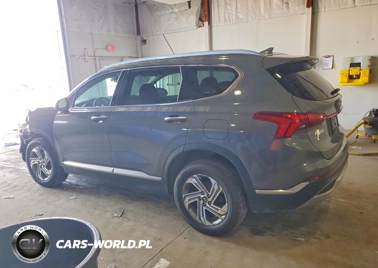 2021 Hyundai Santa Fe Sel VIN:5NMS6DAJ8MH341738 - 2