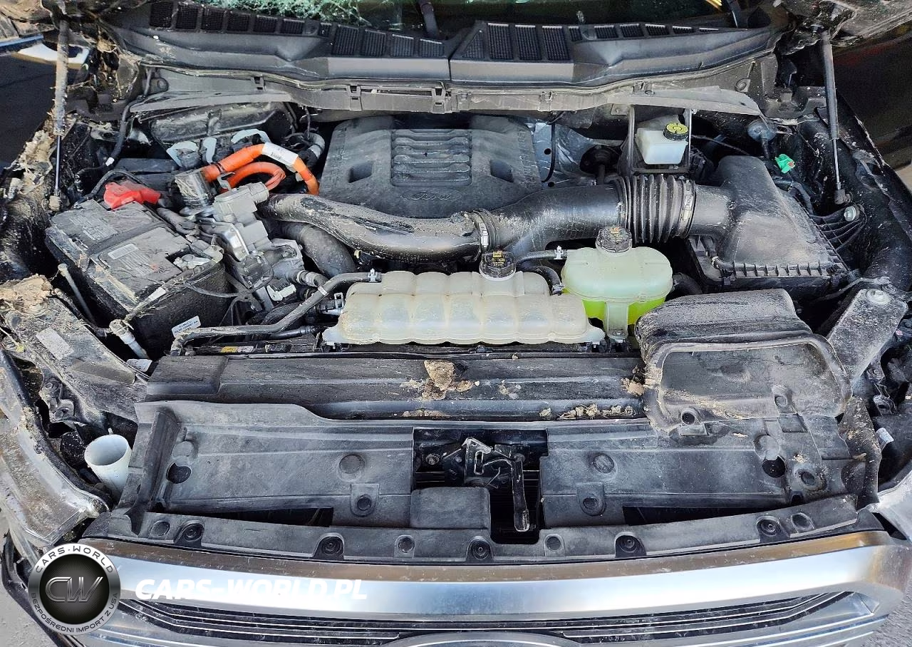 2021 Ford F150 VIN:1FTFW1ED1MFB84183 - 11