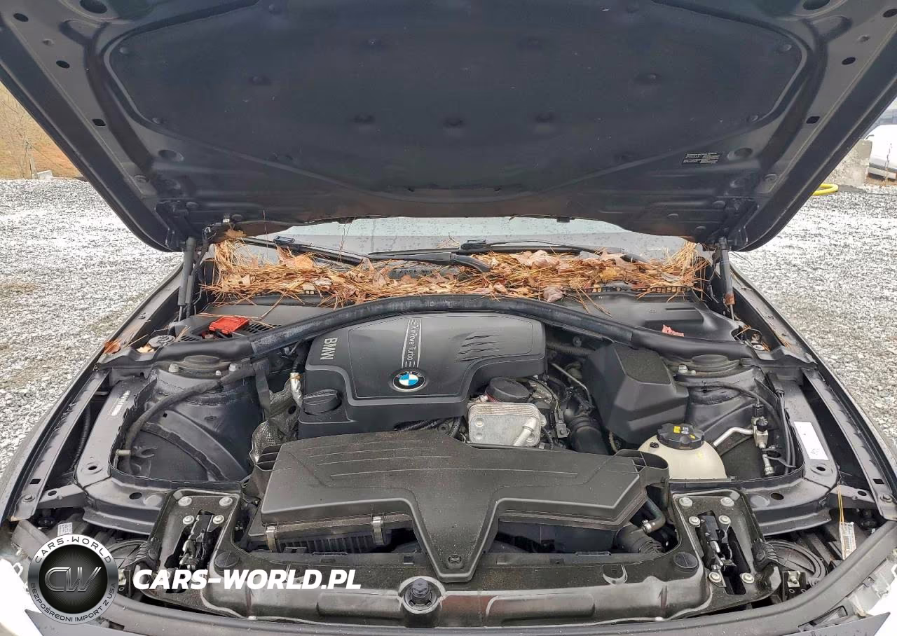 2015 BMW 328 Xi VIN:WBA3B3C53FJ983580 - 11