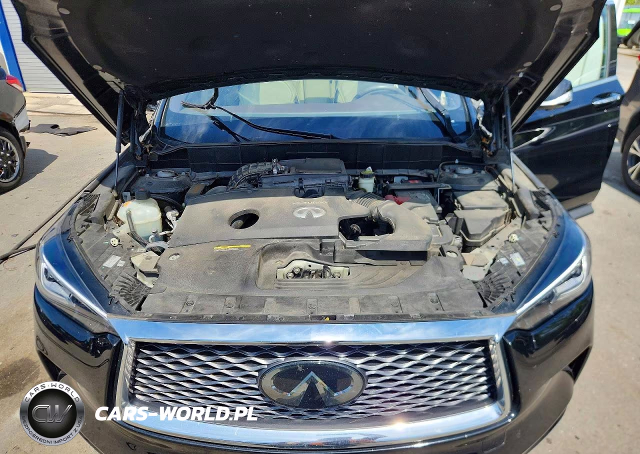 2019 Infiniti Qx50 Essential VIN:3PCAJ5M31KF103757 - 12