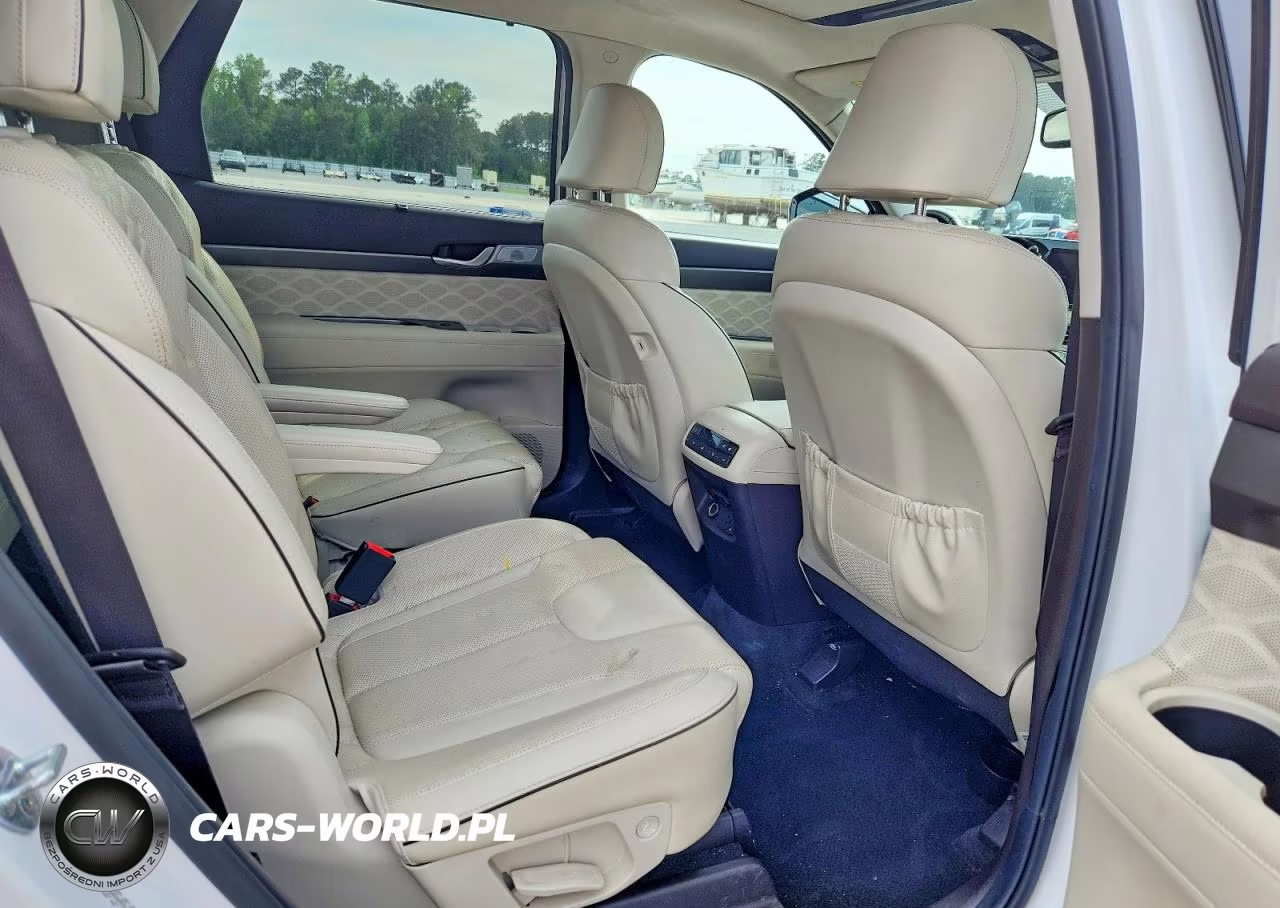 2020 Hyundai Palisade Limited VIN:KM8R5DHE5LU169438 - 11
