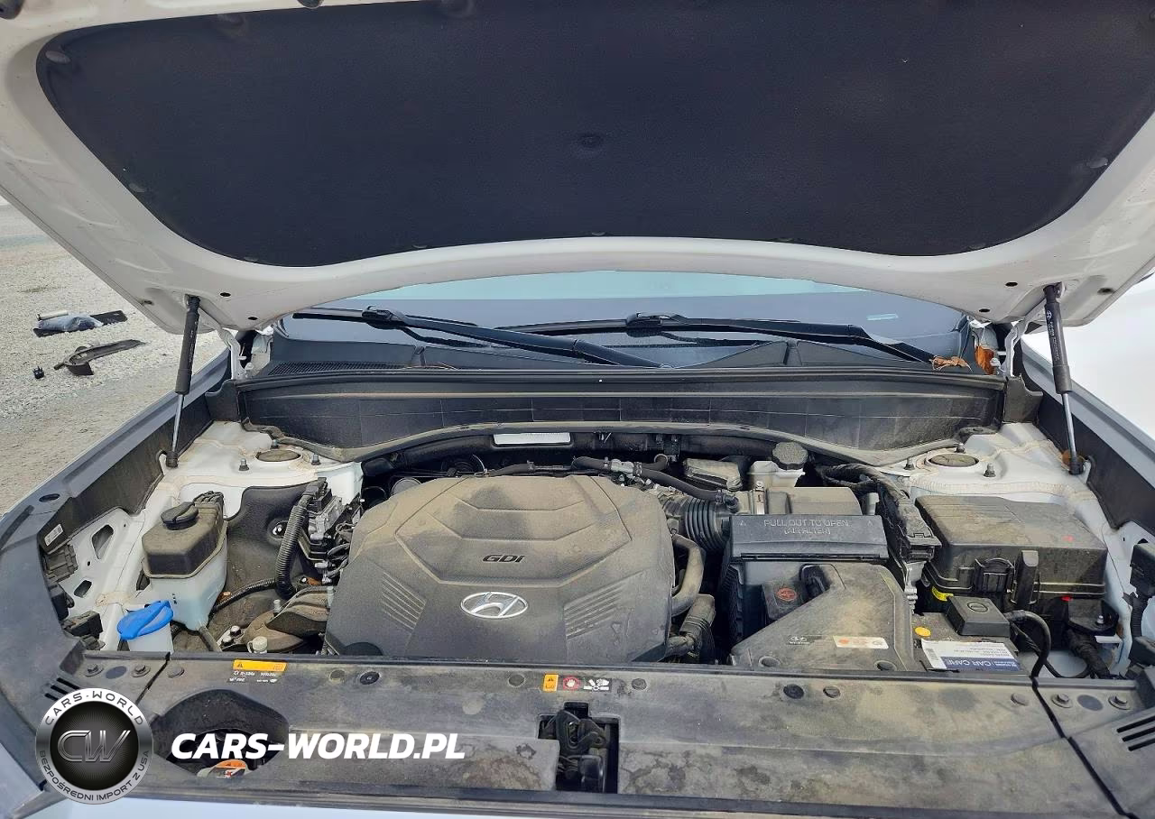 2020 Hyundai Palisade Limited VIN:KM8R5DHE5LU169438 - 12