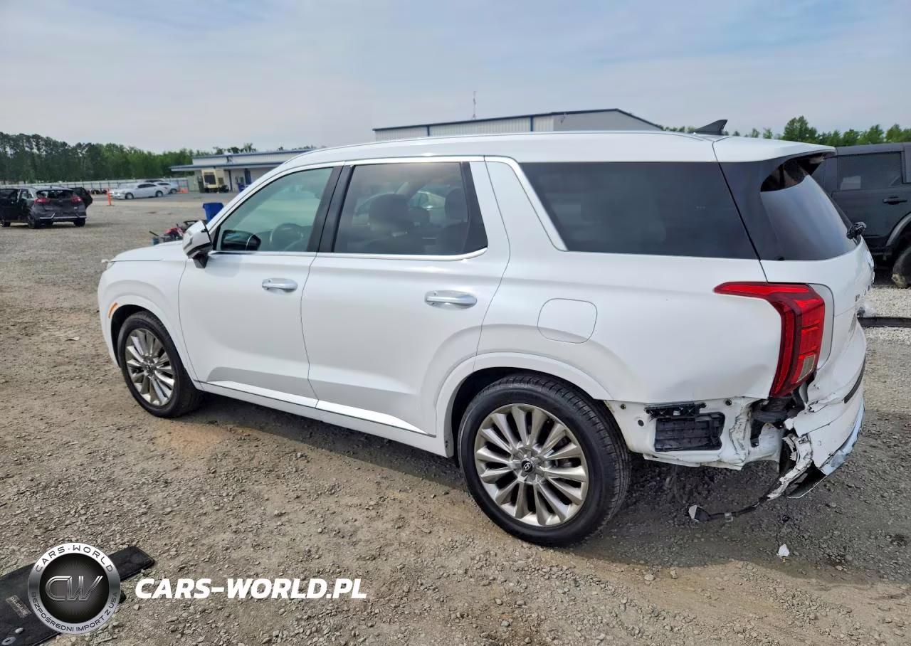 2020 Hyundai Palisade Limited VIN:KM8R5DHE5LU169438 - 2