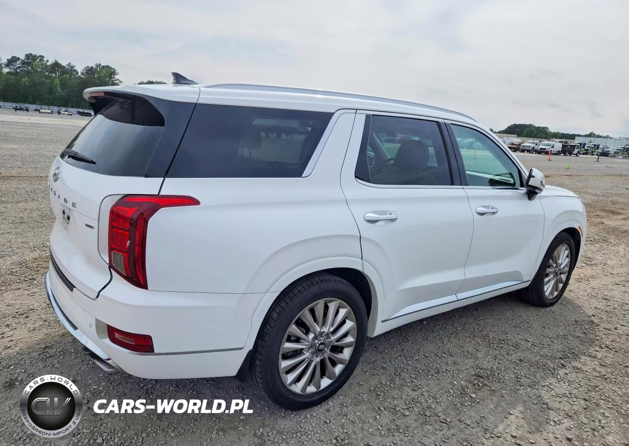 2020 Hyundai Palisade Limited VIN:KM8R5DHE5LU169438 - 3