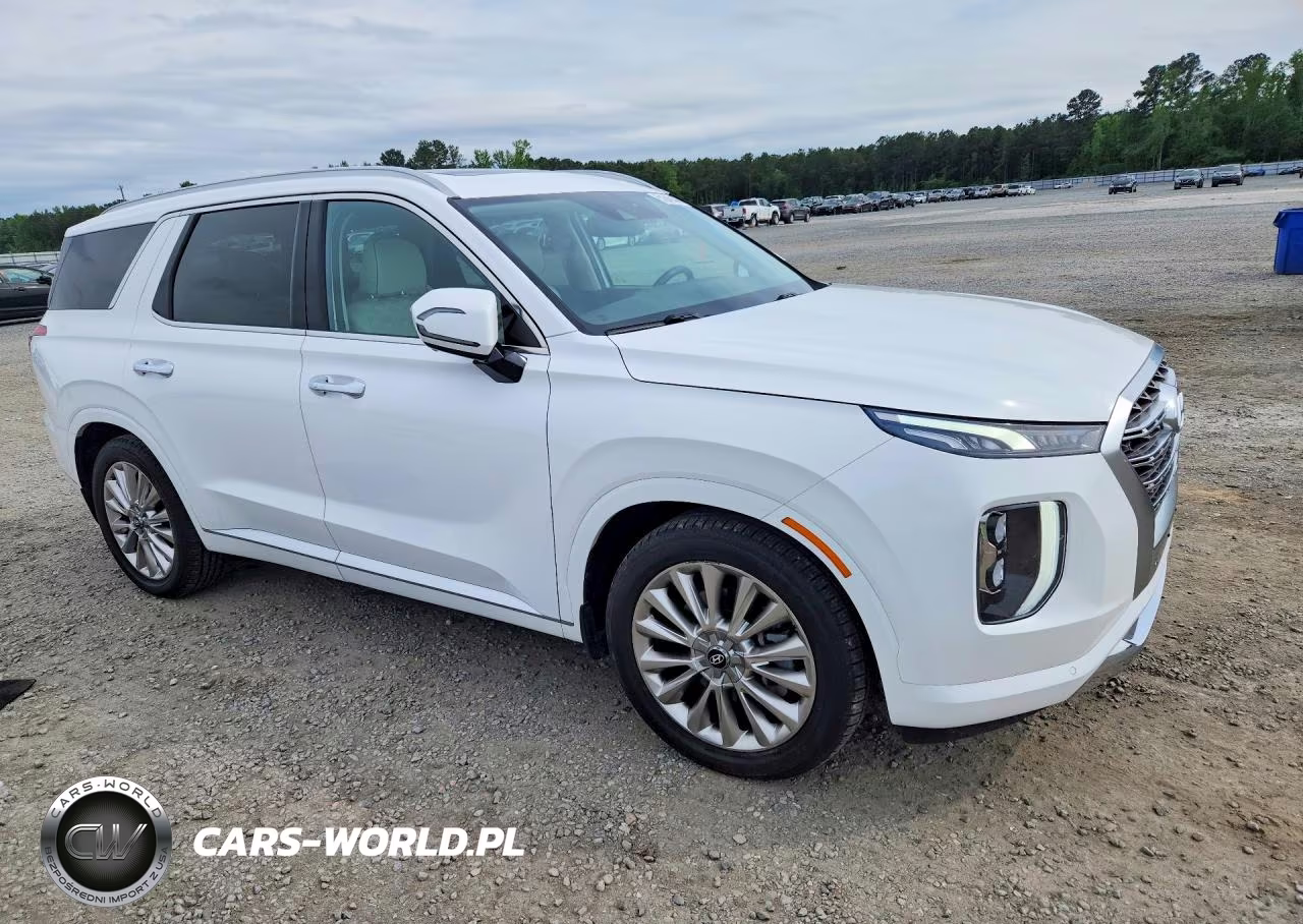 2020 Hyundai Palisade Limited VIN:KM8R5DHE5LU169438 - 4